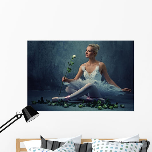 Beautiful Ballet Dancer with