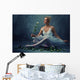 Beautiful Ballet Dancer with