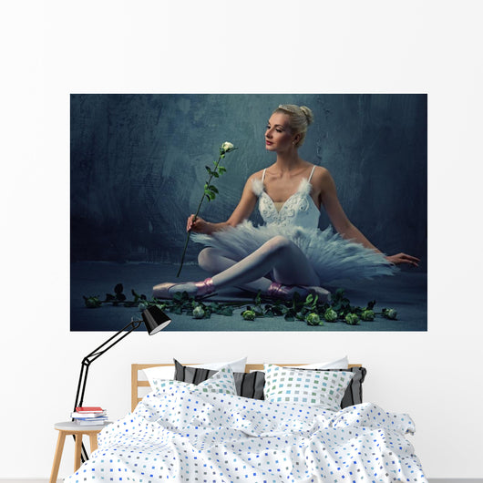 Beautiful Ballet Dancer with