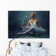 Beautiful Ballet Dancer with