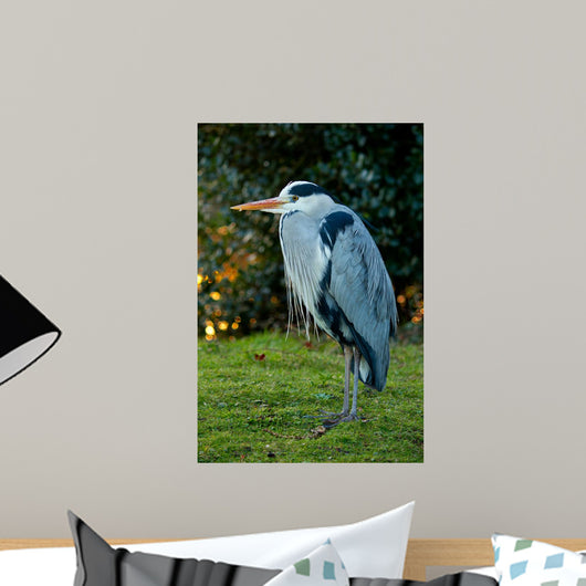 Standing Heron Wall Mural