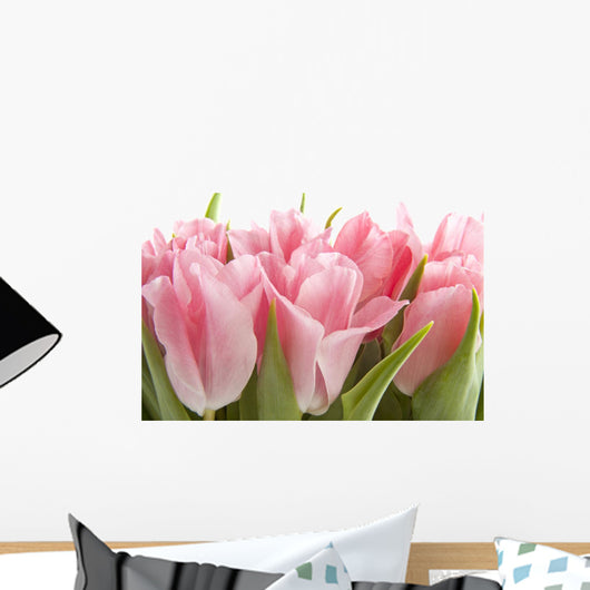 Pink Tulips