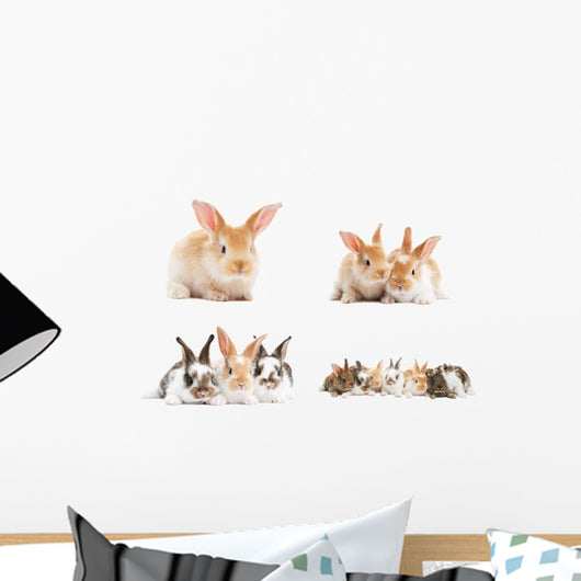 baby bunny rabbits Wall Decal