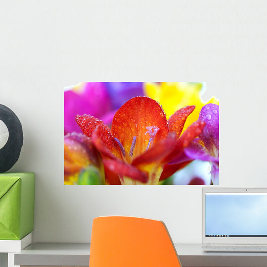 Macro Crocus Flowers Wall Mural