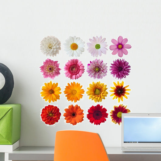 Collection Daisies Wall Decal Sticker Set