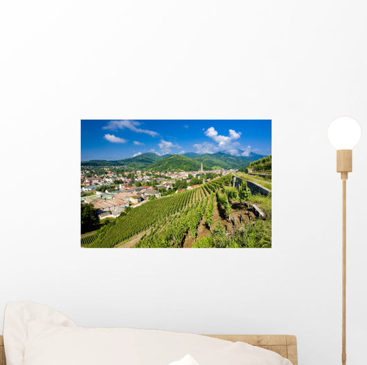 grand cru vineyard, Thann, Alsace, France Wall Mural