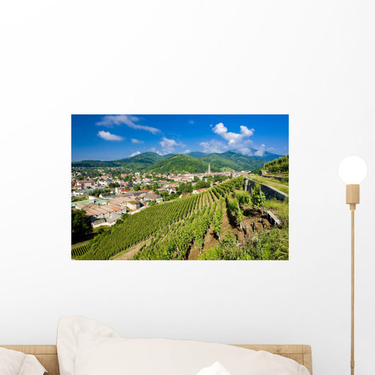 grand cru vineyard, Thann, Alsace, France Wall Mural