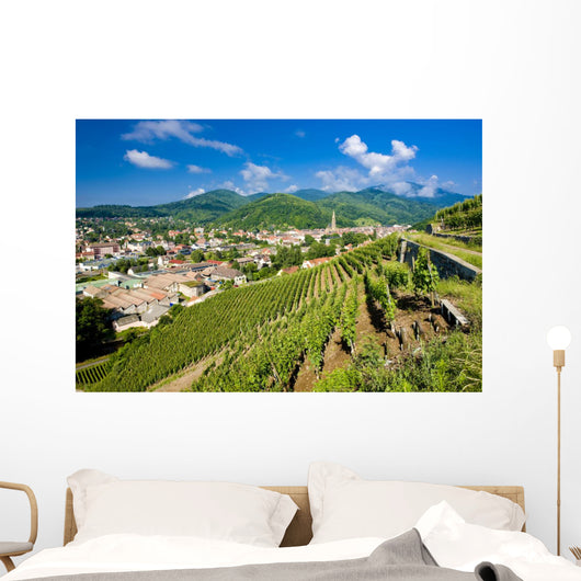grand cru vineyard, Thann, Alsace, France Wall Mural