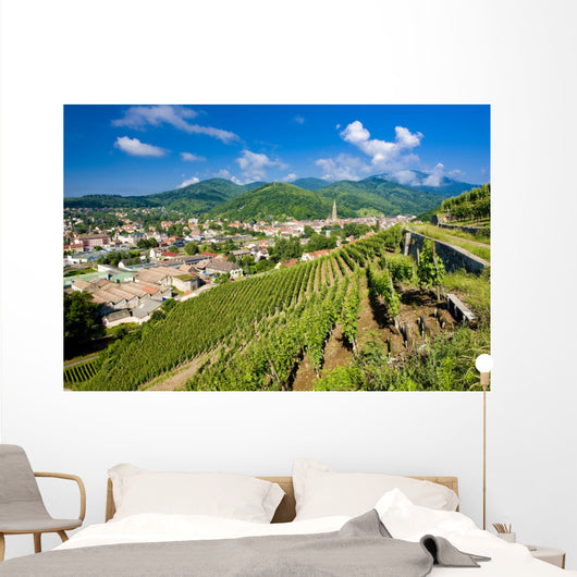 grand cru vineyard, Thann, Alsace, France Wall Mural