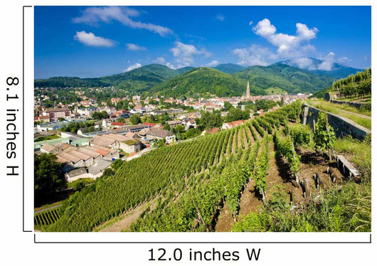 grand cru vineyard, Thann, Alsace, France Wall Mural