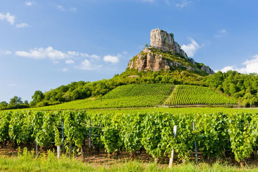 Solutre Rock with vineyards, Burgundy, France Wall Mural