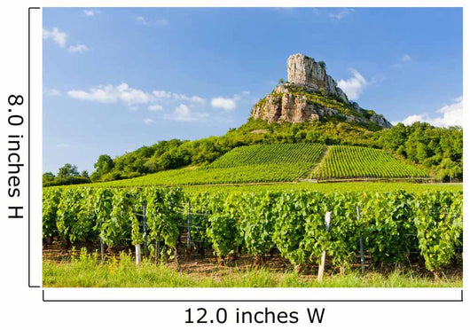 Solutre Rock with vineyards, Burgundy, France Wall Mural