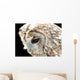 Eule 3 Wall Mural