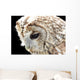 Eule 3 Wall Mural
