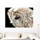 Eule 3 Wall Mural