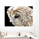 Eule 3 Wall Mural