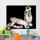 Pointe Ballerina Shoes Black
