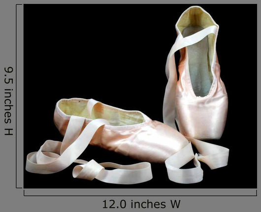 Pointe Ballerina Shoes Black