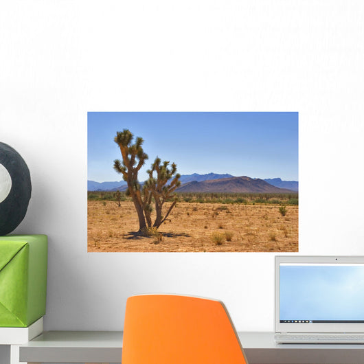 Cactus Desert