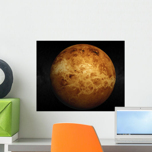 Venus Wall Mural