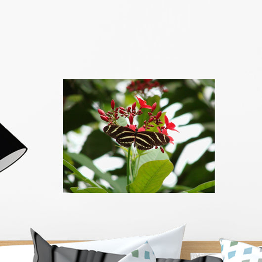 Zebra Longwing Butterfly Wall Mural