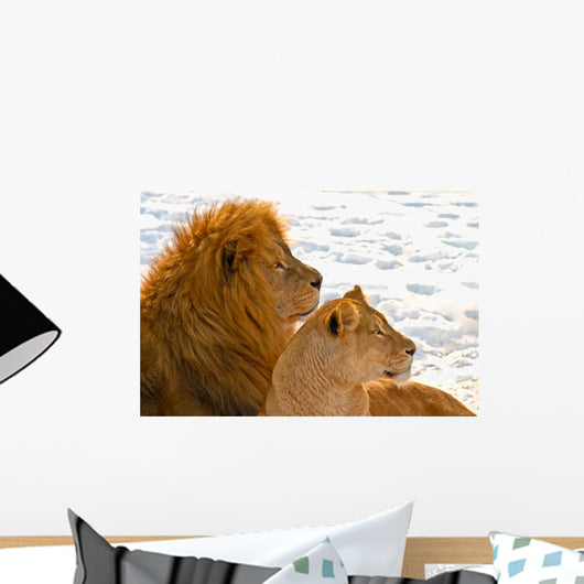 Lion Couple Lying in the Snow Wall Mural