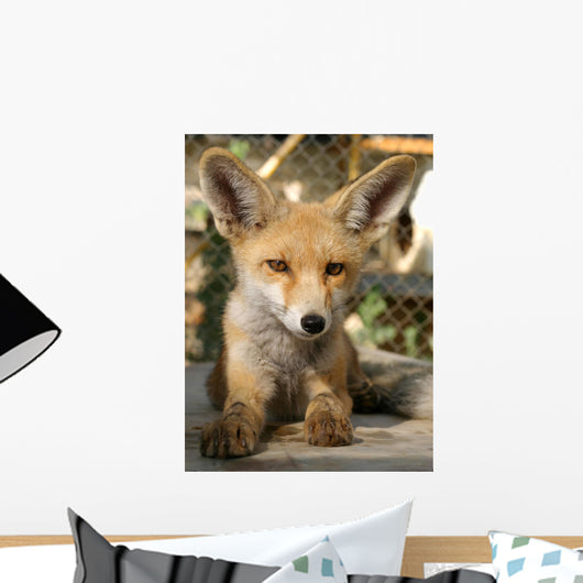 Fox Cub Wall Mural