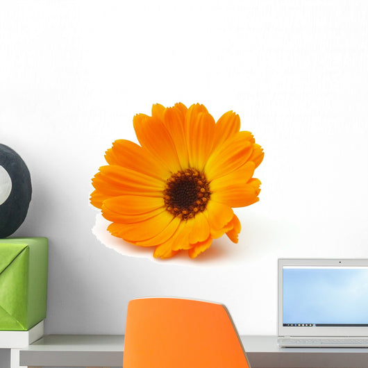 Marigold