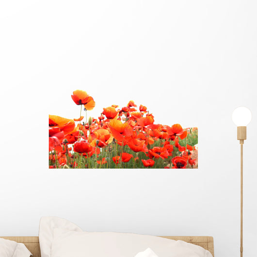 Red Poppies Wall Mural