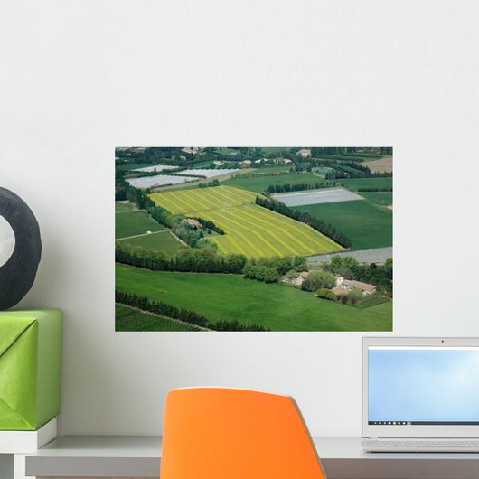 Rapeseed Wall Decal