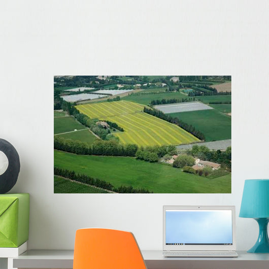 Rapeseed Wall Decal