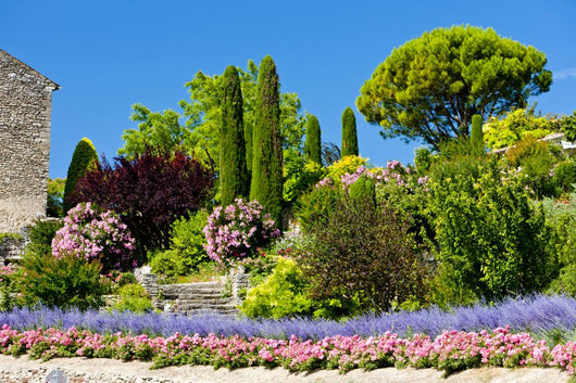 Garden Gordes Provence France