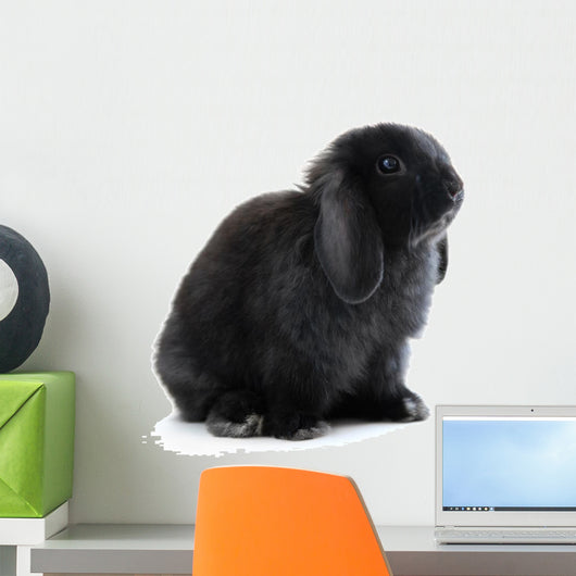 Bunny Rabbit Wall Decal