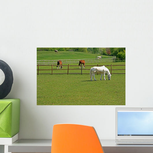 Horses and Cattle Grazing