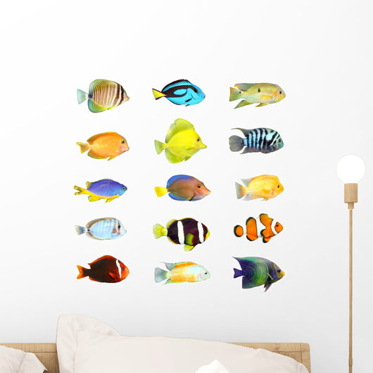 Fifteen Tropical Fish Wall Decal