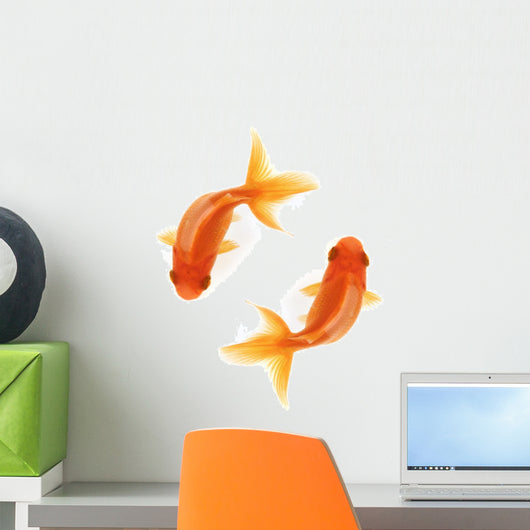 Two Goldfish Swimming in Circles Wall Decal