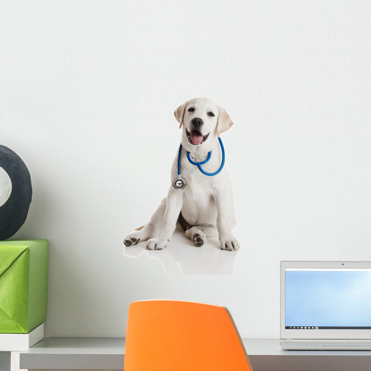 Veterinarian Dog