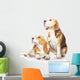 Two beagle dogs isolated on white background Wall Decal