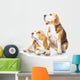 Two beagle dogs isolated on white background Wall Decal
