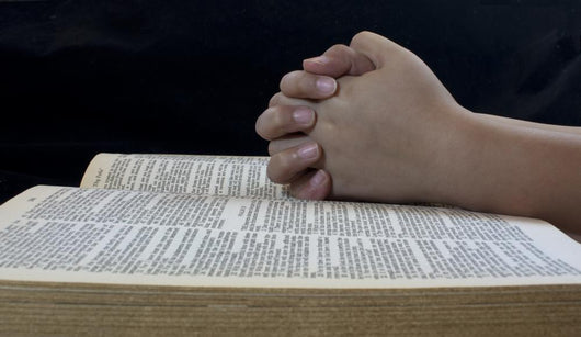 Child's Hands Praying Wall Mural