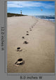 Footprints Sand and Surf