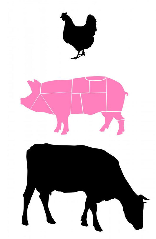 Farm Animals