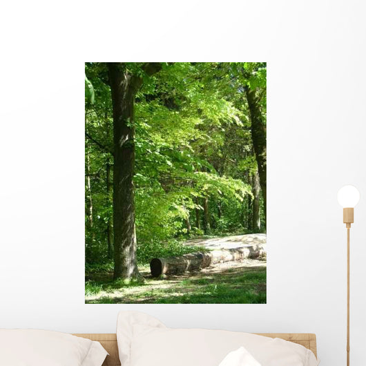 Serenity Wall Decal