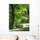 Serenity Wall Decal
