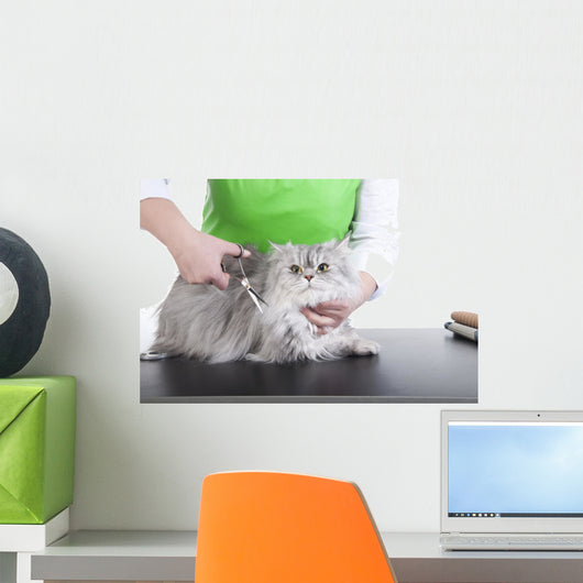 Grooming Cat