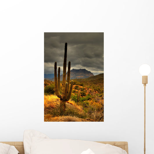 desert saguaro 81 Wall Mural