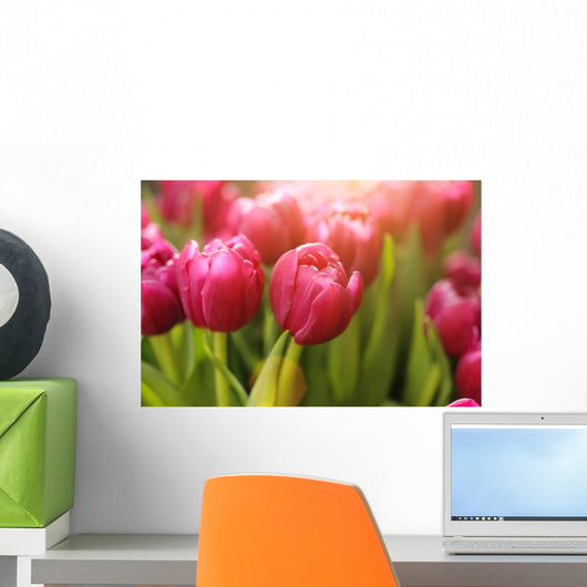 Red Tulip Flowers