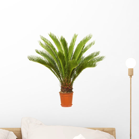 Cycas Palm Room Wall Decal