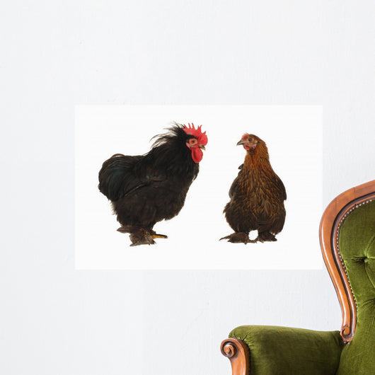 cock and hen Wall Decal
