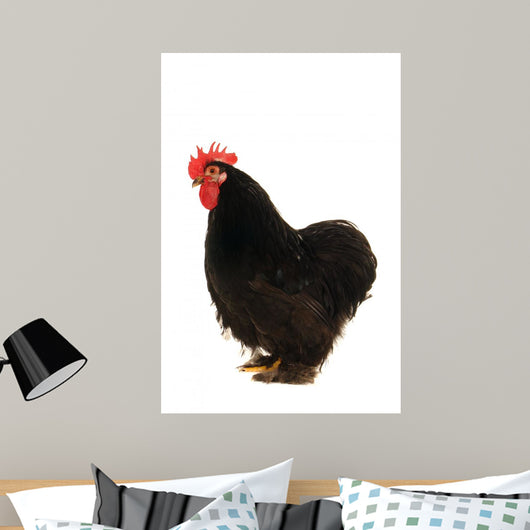 Black Cock Wall Decal